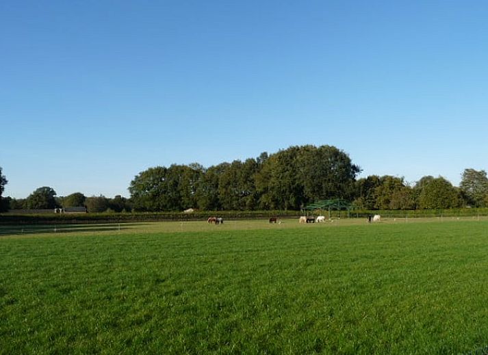 Guest house 385218 - Holiday property Noord Limburg - Vakantiehuis in Sevenum