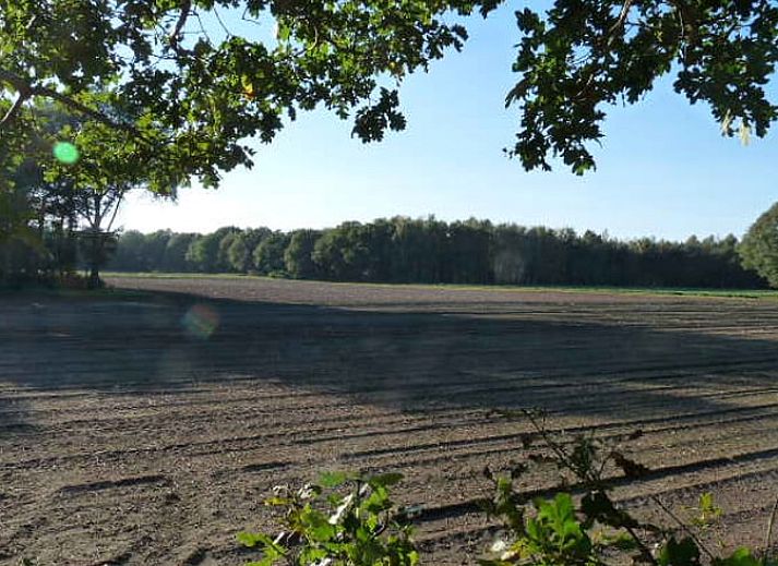 Guest house 385218 - Holiday property Noord Limburg - Vakantiehuis in Sevenum