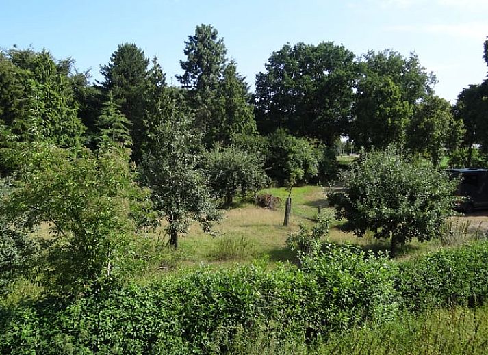 Unterkunft 385220 - Ferienhaus Noord Limburg - Vakantiehuisje in Sevenum