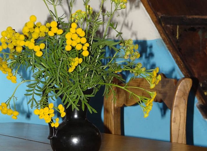 Unterkunft 385220 - Ferienhaus Noord Limburg - Vakantiehuisje in Sevenum