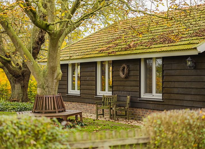 Guest house 385234 • Holiday property Noord Limburg • Vakantiehuis in Sevenum 