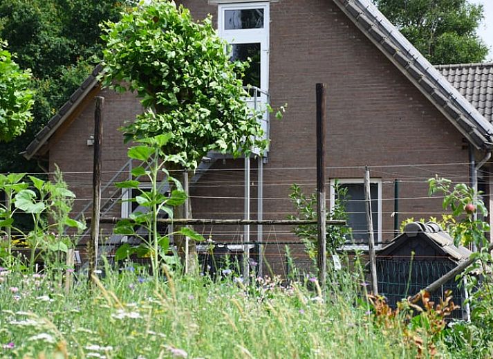 Unterkunft 385606 - Ferienhaus Noord Limburg - Huisje in Baexem