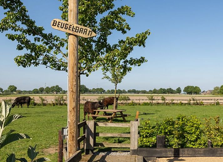 Heller Sitzbereich im Ferienhaus in Baexem, Nord-Limburg mit Blick auf die Natur.