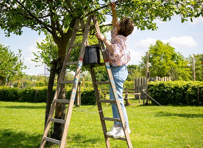 Aussenansicht des Ferienhauses in Baexem, Nord-Limburg mit gruener Umgebung.