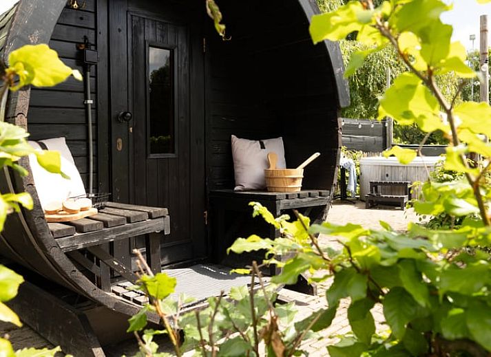 Weidende Kuehe im Ferienhaus in Baexem, Nord-Limburg fuer ein laendliches Erlebnis.