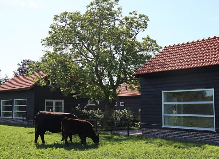 Unterkunft 385608 • Ferienhaus Noord Limburg • Vakantiehuisje in Baexem