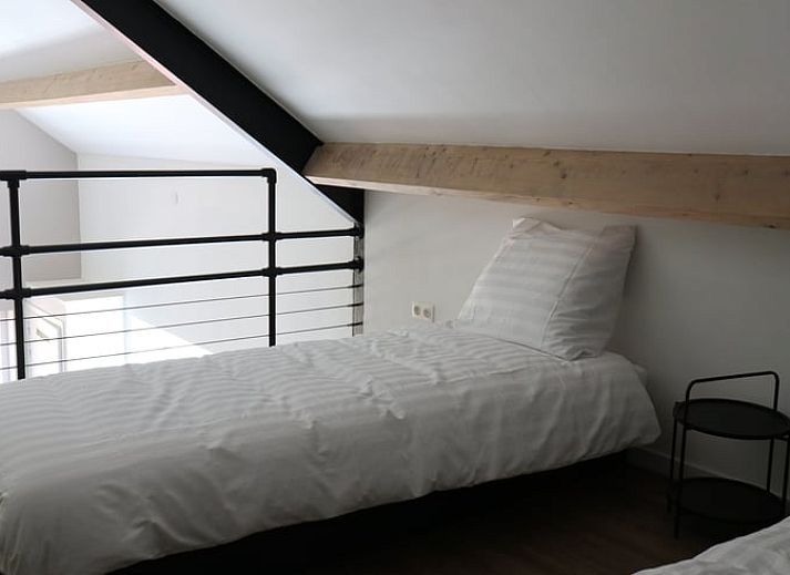 Kuehe im Ferienhaus in Baexem, Nord-Limburg, laendliches Ferienhaus.