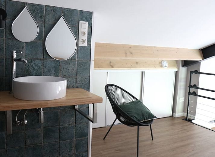 Kuehe im Ferienhaus in Baexem, Nord-Limburg, laendliches Ferienhaus.