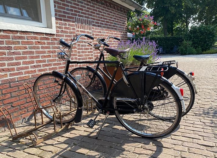 Unterkunft 385610 - Ferienhaus Noord Limburg - Vakantiehuisje in Baexem