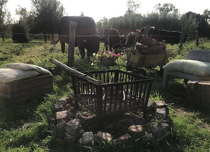 Unterkunft 385613 - Ferienhaus Noord Limburg - Vakantiehuis in Baexem