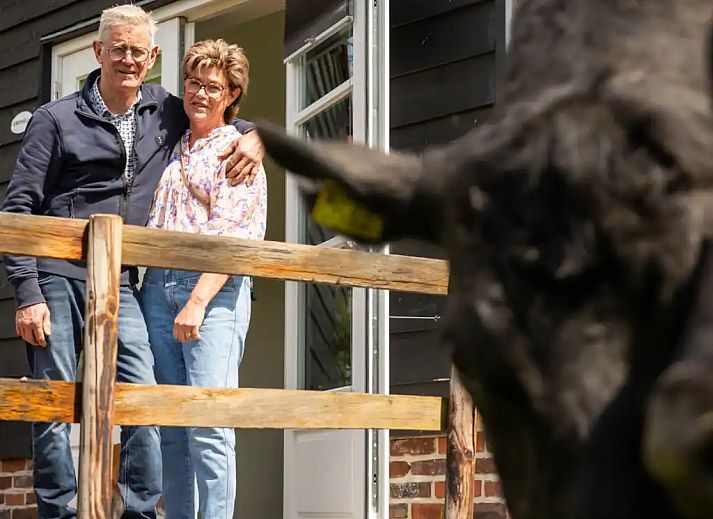 Guest house 385614 - Holiday property Noord Limburg - Huisje Met de kippen Op Stok/Sierkip