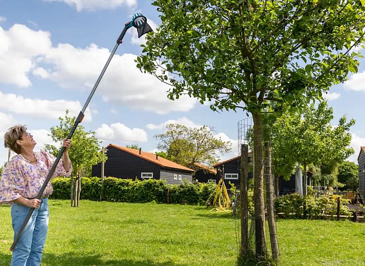 Guest house 385614 - Holiday property Noord Limburg - Huisje Met de kippen Op Stok/Sierkip