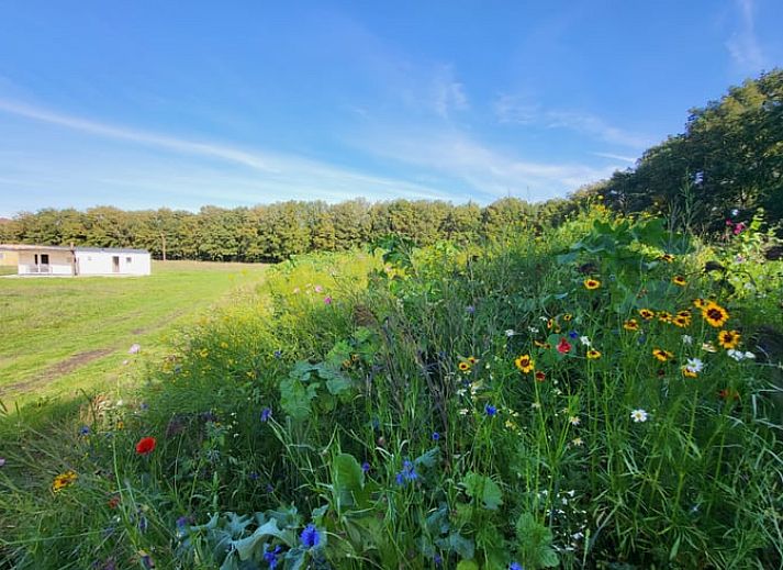 Vacation home in Heythuysen with charming porch in North Limburg, Limburg.