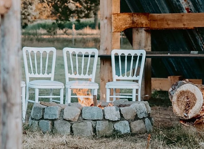 Flower Meadow at Holiday Home in Heythuysen, a serene spot in North Limburg.