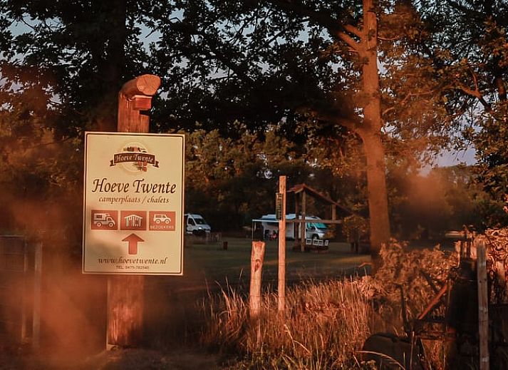 Flower Meadow at Holiday Home in Heythuysen, a serene spot in North Limburg.
