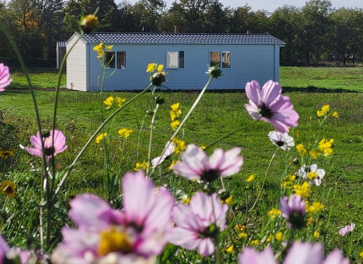 Verblijf 385810 - Chalet Noord Limburg - Vakantiehuisje in Heythuysen