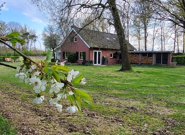 Unterkunft 385813 - Ferienhaus Noord Limburg - Vakantiehuisje in Heythuysen