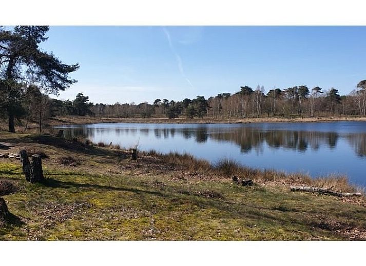 Cozy indoor area of Holiday Home in Heythuysen, North Limburg, with a bright living room and comfortable seating.