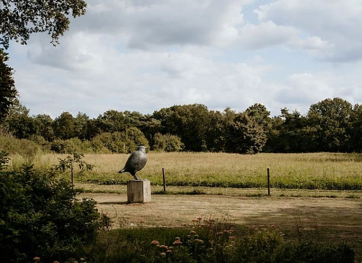 Unterkunft 385824 - Ferienhaus Noord Limburg - Vakantiehuisje in Heythuysen