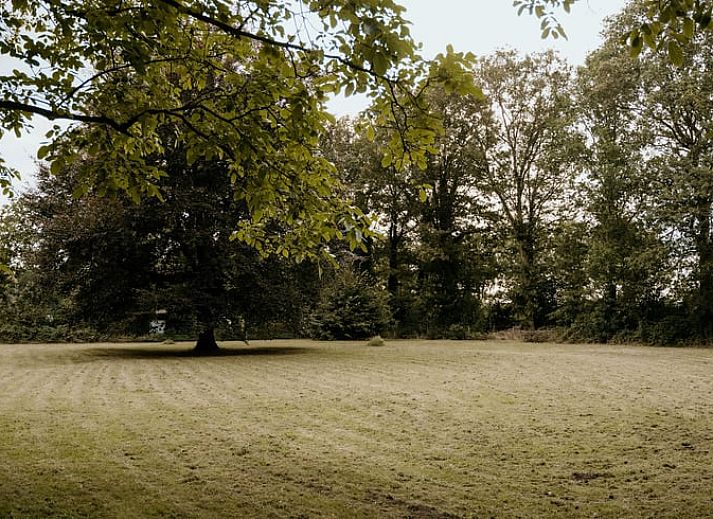 Unterkunft 385824 - Ferienhaus Noord Limburg - Vakantiehuisje in Heythuysen