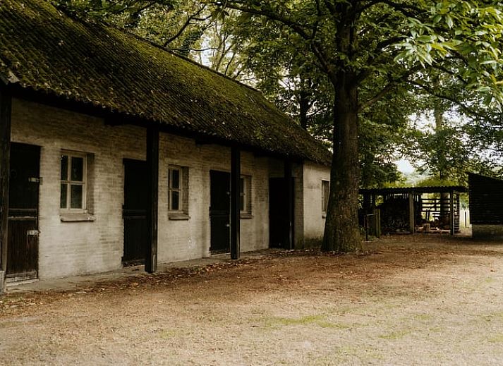 Unterkunft 385824 - Ferienhaus Noord Limburg - Vakantiehuisje in Heythuysen