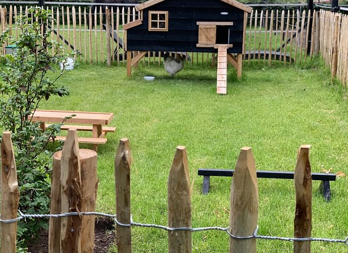 Ontspannen in een hangmat bij Vakantiehuisje in Heythuysen, Noord Limburg, Limburg.