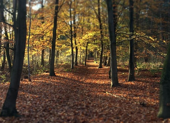 Gezellige woonkamer van Vakantiehuisje in Heythuysen, Noord Limburg, Limburg.