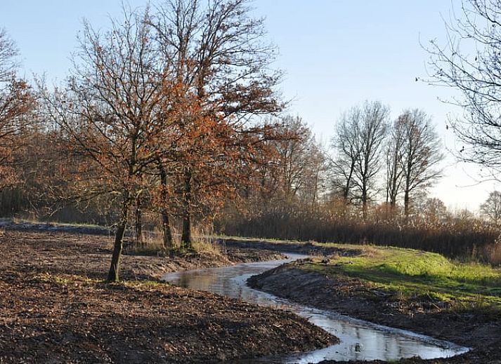 Uitzicht op de tuin vanuit Vakantiehuisje in Heythuysen, Noord Limburg, Limburg.