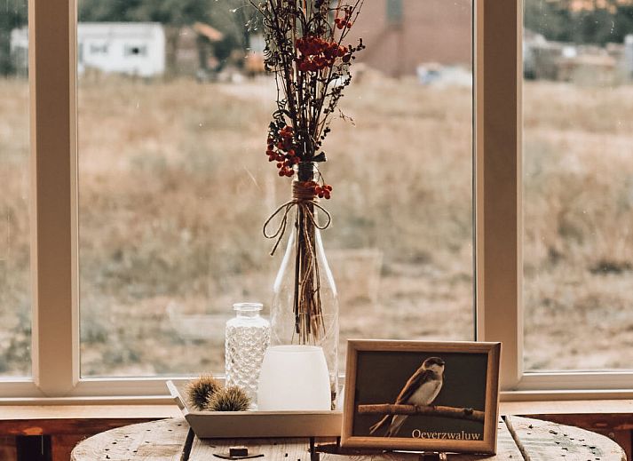 Unterkunft 385826 - Ferienhaus Noord Limburg - Vakantiehuis Hoeve Twente - De Oeverzwaluw