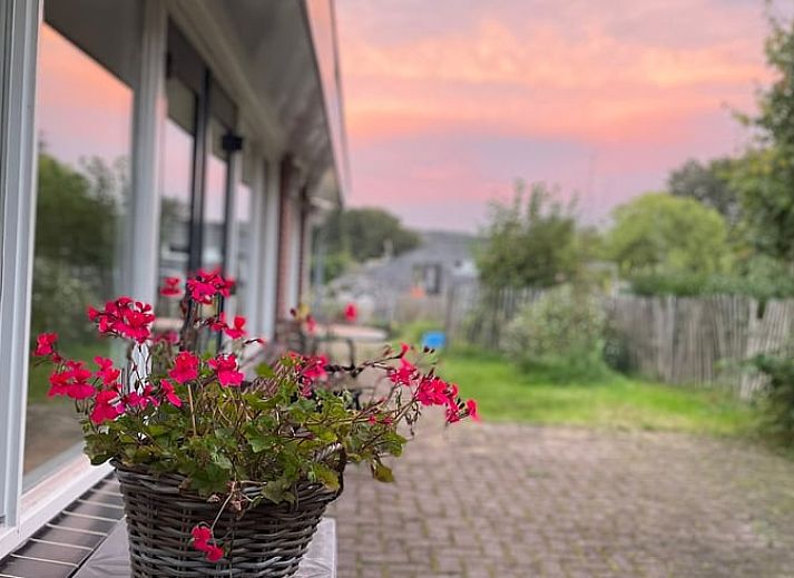 Guest house 386130 - Holiday property Noord Limburg - Huisje in Middelaar