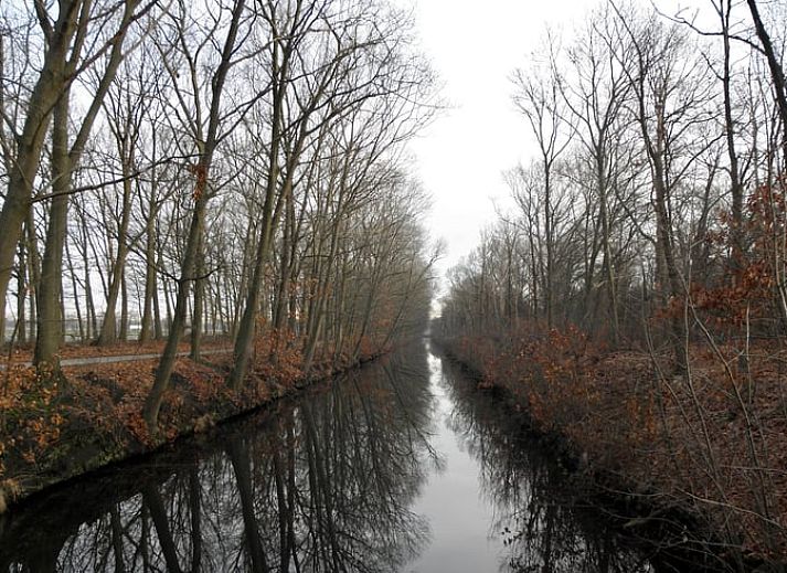 Guest house 386201 - Holiday property Noord Limburg - Vakantiehuisje in Grashoek