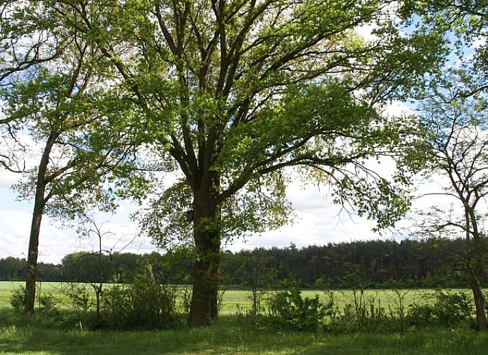 Guest house 386201 - Holiday property Noord Limburg - Vakantiehuisje in Grashoek