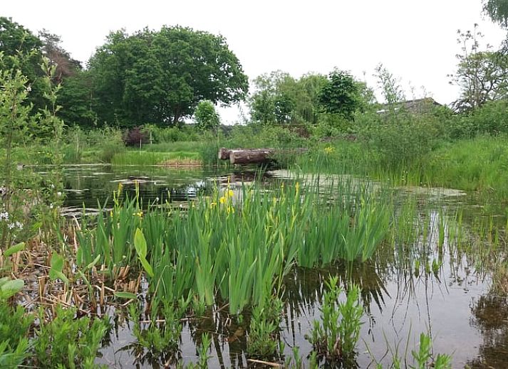 Woonkamer in Vakantiehuisje in Grashoek, Noord Limburg. Comfortabele zithoek met uitzicht op de tuin.