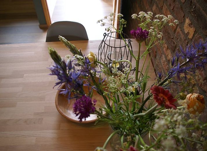 Bloesem in de tuin van Vakantiehuisje in Grashoek, Noord Limburg. Prachtige natuur rondom het vakantiehuis.