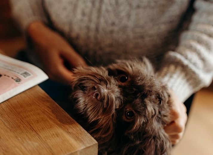 Badkamer in Vakantiehuisje in Grashoek, Noord Limburg. Stijlvolle wastafels en houten details in de badkamer.
