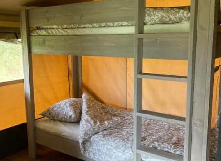 Verblijf 386207 - Tenthuis Noord Limburg - Safaritent