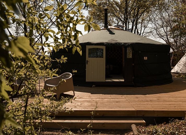 Guest house 386411 • Holiday property Noord Limburg • Vakantiehuisje in Ven-Zelderheide