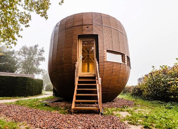 Guest house 386418 • Holiday property Noord Limburg • Huisje in Ven/Zelderheide