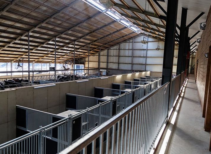 Guest house 386902 - Holiday property Noord Limburg - Vakantiehuis in Broekhuizen LB