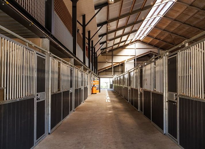 Guest house 386902 - Holiday property Noord Limburg - Vakantiehuis in Broekhuizen LB