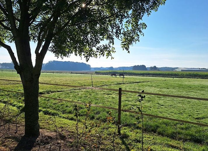 Guest house 386902 - Holiday property Noord Limburg - Vakantiehuis in Broekhuizen LB