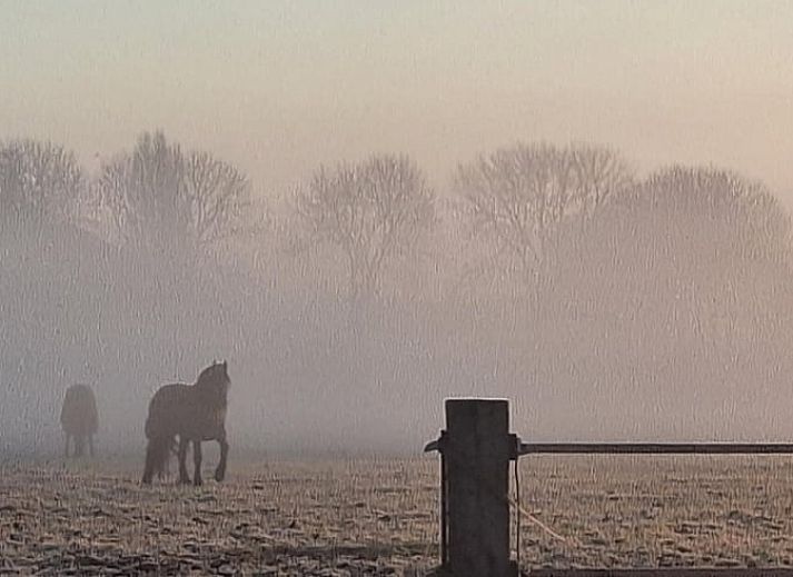 Guest house 386902 - Holiday property Noord Limburg - Vakantiehuis in Broekhuizen LB