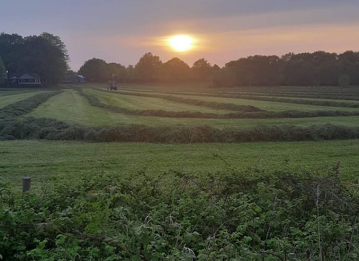 Guest house 386902 - Holiday property Noord Limburg - Vakantiehuis in Broekhuizen LB