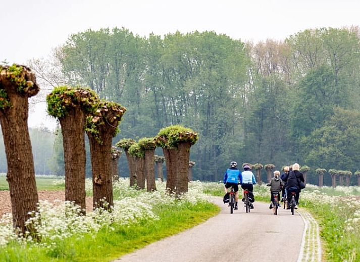 Guest house 386902 - Holiday property Noord Limburg - Vakantiehuis in Broekhuizen LB