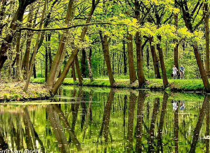 Luxe badkamer in Vakantiehuisje in Griendtsveen, Noord Limburg met moderne inrichting en stijlvolle details voor een ontspannen verblijf.