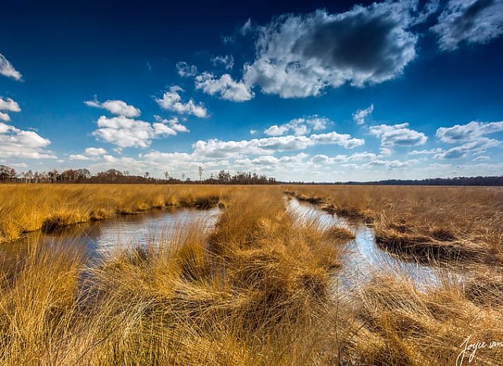 Luxe badkamer in Vakantiehuisje in Griendtsveen, Noord Limburg met moderne inrichting en stijlvolle details voor een ontspannen verblijf.