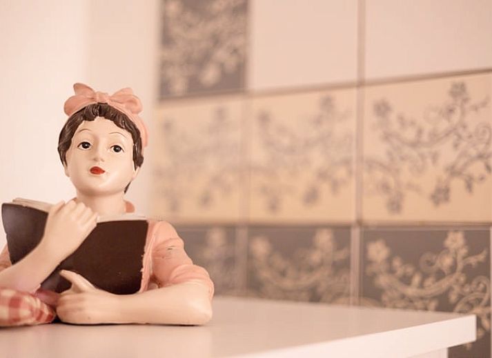 Welcome package in Holiday Home in Maastricht, South Limburg with information folder and flowers.