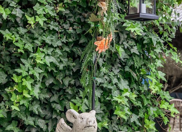 Stylish wall decoration in Holiday home in Maastricht, South Limburg for a warm atmosphere.