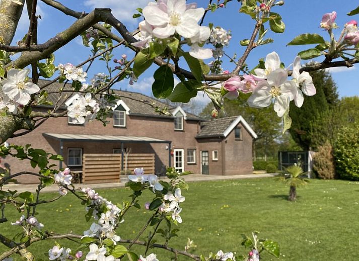 Verblijf 390201 - Appartement Zuid Limburg - De Zegelskoƫl