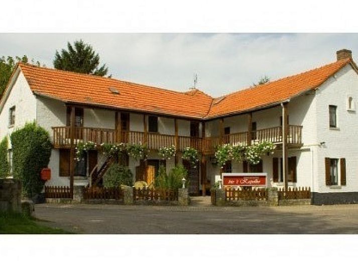 Schapen grazen in de groene omgeving van bie 't kapelke, vakantiehuis in Heijenrath, Zuid Limburg.